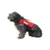 Jobe Pet Vest Red 1 Jobe Pet Vest Red -Water Sports Supplies 240017602 500x500 1