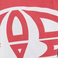 Animal Mens Paulo Boardshorts 7 Animal Mens Paulo Boardshorts -Water Sports Supplies CL8SN012F94 ALT02 500x500 1