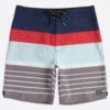 Animal Mens Tarley Boardshorts