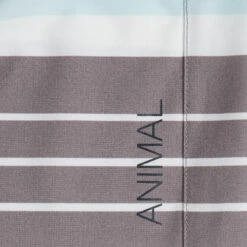 Animal Mens Tarley Boardshorts -Water Sports Supplies CL9SQ009C06 ALT06 500x500 1