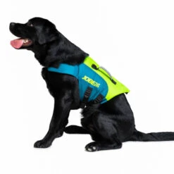Jobe Pet Vest Lime/Teal 11 Jobe Pet Vest Lime/Teal -Water Sports Supplies jobe pet vest lime 240023001 3 500x500 1