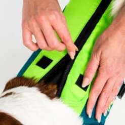 Jobe Pet Vest Lime/Teal 13 Jobe Pet Vest Lime/Teal -Water Sports Supplies jobe pet vest lime 240023001 5 500x500 1