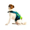 Jobe Pet Vest Lime/Teal 1 Jobe Pet Vest Lime/Teal -Water Sports Supplies jobe pet vest lime 240023001 500x500 1