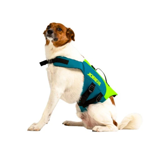 Jobe Pet Vest Lime/Teal 3 Jobe Pet Vest Lime/Teal